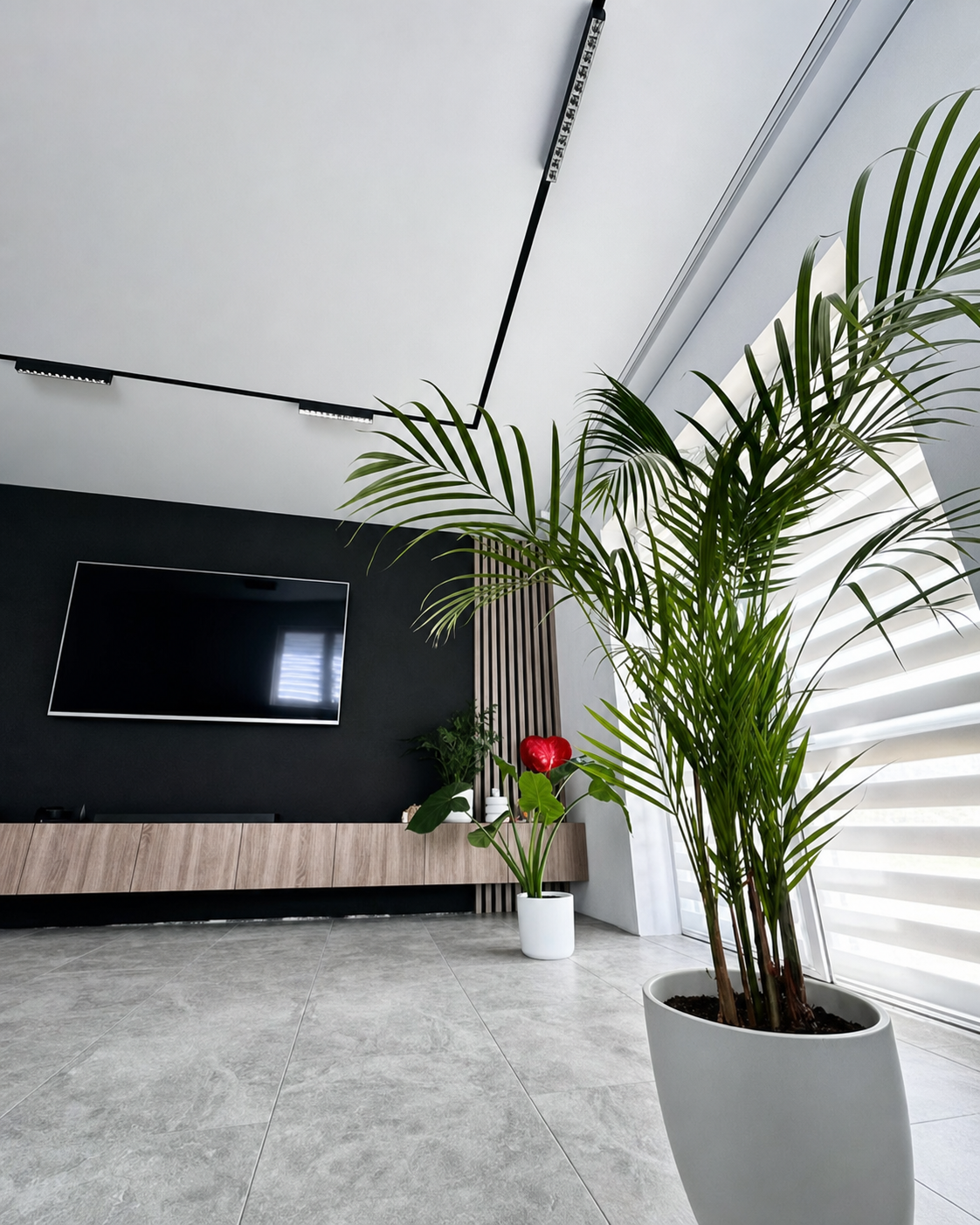 The black track disappearing into a bright, plant-filled corner